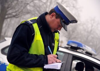 źródło: KWP w Gorzowie Wlkp.