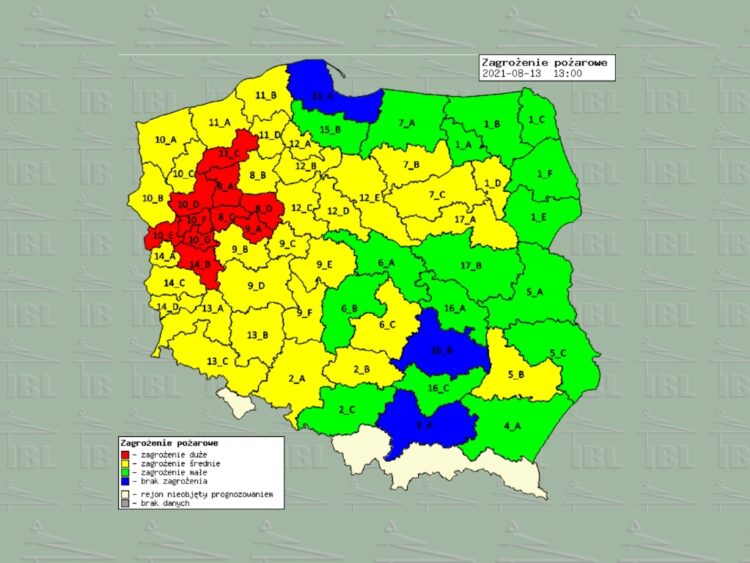 Fot. Instytut Badawczy Leśnictwa