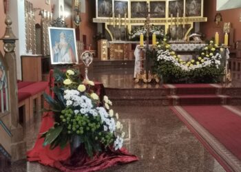 Fot. Agnieszka Wojnarowicz