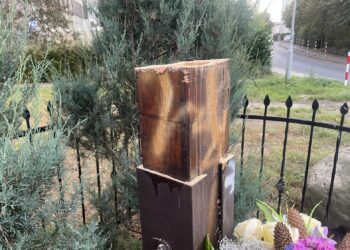 fot. Bartosz Schaefer