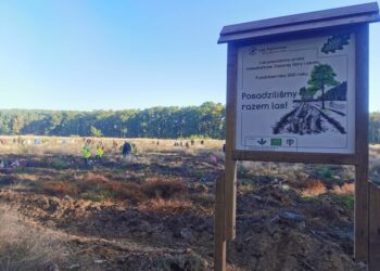 Fot. Agnieszka Wojnarowicz