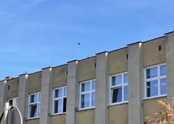 fot. Bartosz Schaefer