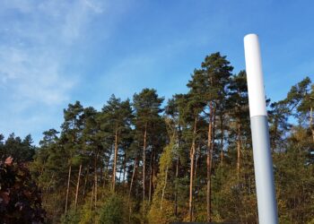 Fot.: Piotr Kuśnierz