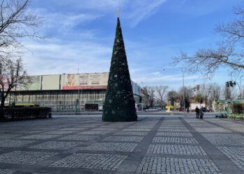 fot. Bartosz Schaefer