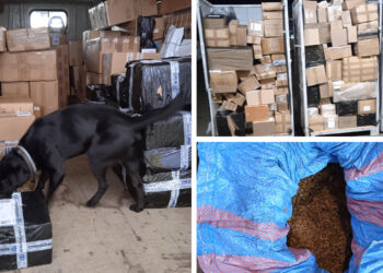 Fot. Izba Administracji Skarbowej w Zielonej Górze