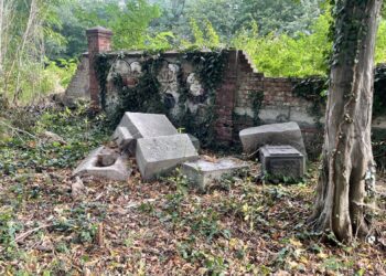 fot. Bartosz Schaefer