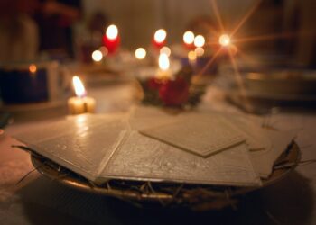 Fot. Mario Carvajal - https://www.flickr.com/photos/mario_carvajal/2134632140/in/photostream/, CC BY 2.0, https://commons.wikimedia.org/w/index.php?curid=47646383