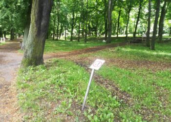 fot. Bartosz Schaefer