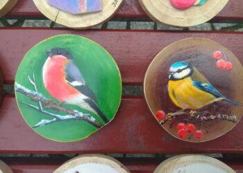 fot:Przemysław Kozubaj