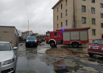 fot: Przemysław Kozubaj