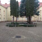 fot: Przemysław Kozubaj