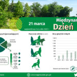 Grafika: Lubuski Ośrodek Badań Regionalnych