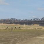 fot:Przemysław Kozubaj