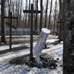 Fot. PAP/Andrzej Lange