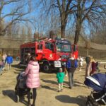 fot: Przemysław Kozubaj