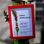 fot: Krzysztof Filmanowicz