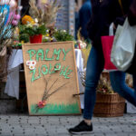 fot: Krzysztof Filmanowicz