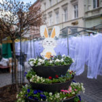 fot: Krzysztof Filmanowicz