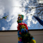 fot: Krzysztof Filmanowicz