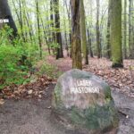 fot: Przemysław Kozubaj