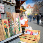 fot: Krzysztof Filmanowicz