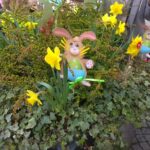 fot: Przemysław Kozubaj