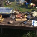 fot: Przemysław Kozubaj