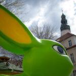 fot: Krzysztof Filmanowicz