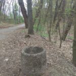 fot: Przemysław Kozubaj