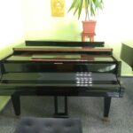 fot: Przemysław Kozubaj