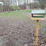 fot: Przemysław Kozubaj