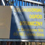 fot: Przemysław Kozubaj