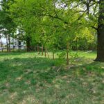 fot: Przemysław Kozubaj