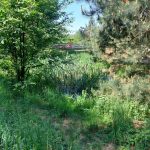 fot: Przemysław Kozubaj