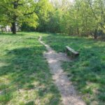 fot: Przemysław Kozubaj