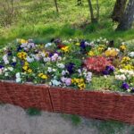 fot: Przemysław Kozubaj