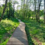 fot: Przemysław Kozubaj