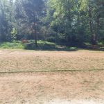 fot: Przemysław Kozubaj