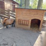 fot: Przemysław Kozubaj