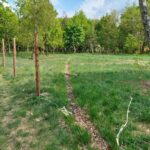 fot: Przemysław Kozubaj