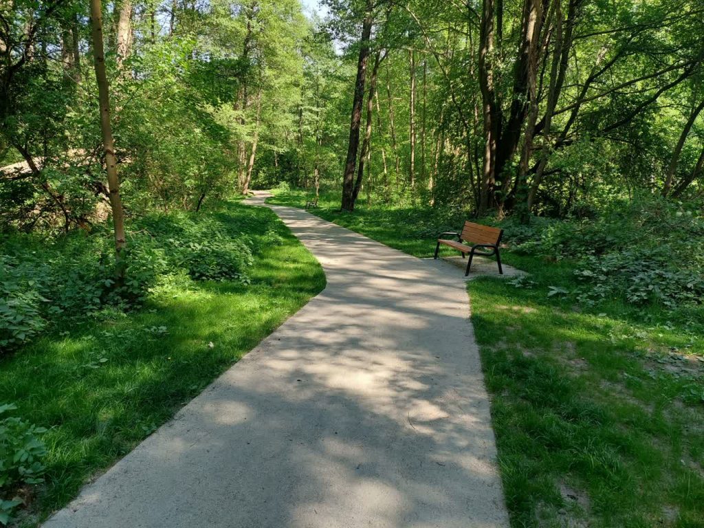 fot: Przemysław Kozubaj