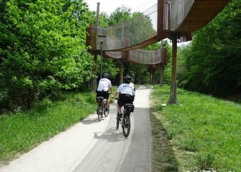 Policja Zielona Góra