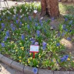 fot: Przemysław Kozubaj