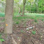 fot: Przemysław Kozubaj