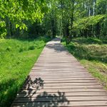 fot: Przemysław Kozubaj