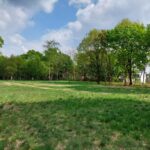 fot: Przemysław Kozubaj