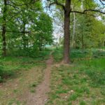 fot: Przemysław Kozubaj