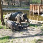 fot: Przemysław Kozubaj