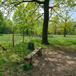 fot: Przemysław Kozubaj