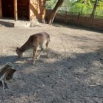 fot: Przemysław Kozubaj